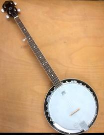 Banjo WASHBURN B-9 - 5 corde - made in U.S.A.
