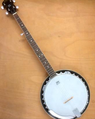 Banjo WASHBURN B-9 - 5 corde - made in U.S.A.