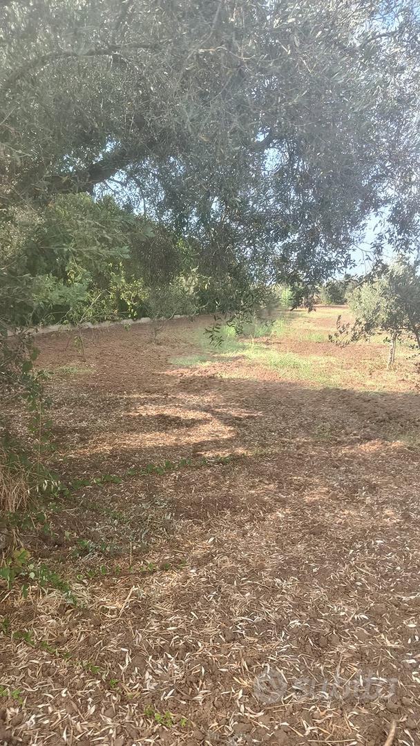 Terreno agricolo - Vista 2