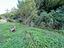 Immagine 18