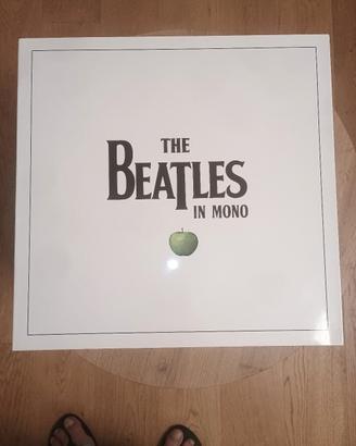 the Beatles in mono box lp vinile