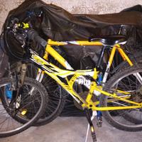 Mountain bike NSR Biammortizzata  24