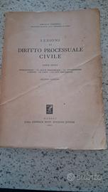 lezioni di diritto processuale civile 