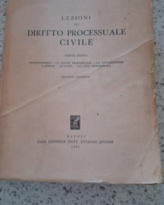 lezioni di diritto processuale civile 