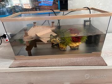 Due tartarughe di acqua con annessi accessori