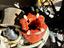 Immagine 2
