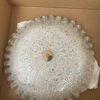 Plaffoniera multicolor