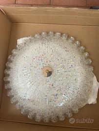 Plaffoniera multicolor