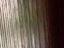 Immagine 13