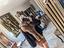 Immagine 1