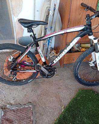 bianchi kuma 26