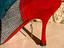 Immagine 2