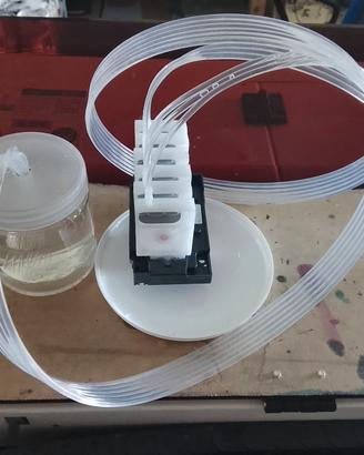 Dispositivo di umidificazione per testina
