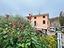 Immagine 25