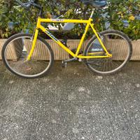 Bici atala di colorazione gialla