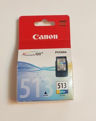 Cartuccia Canon PG513 a colori