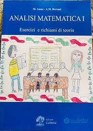 Analisi Matematica 1 - Esercizi-M.Amar-A.M.Bersani