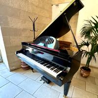 Pianoforte a coda i Bach 160