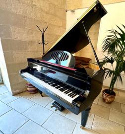 Pianoforte a coda i Bach 160
