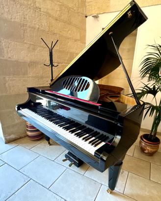 Pianoforte a coda i Bach 160