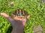 Immagine 4