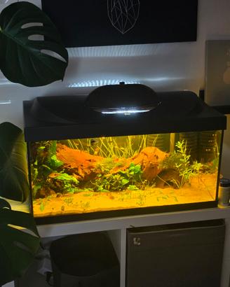 acquario tetra 54l +