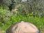 Immagine 3