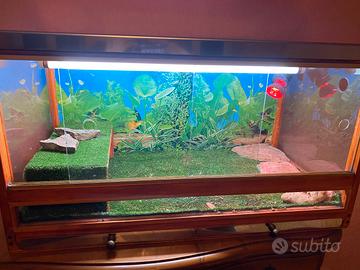 Tartarughiera artigianale per tartarughe di terra