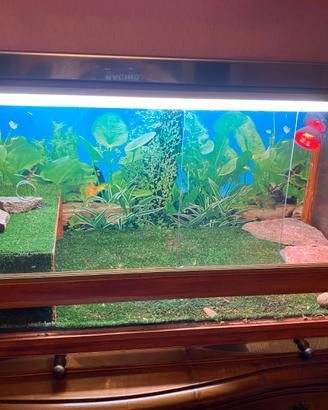 Tartarughiera artigianale per tartarughe di terra