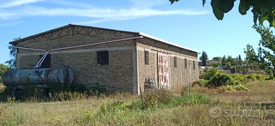 Capannone artigianale