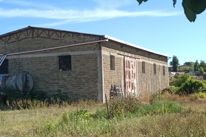 Capannone artigianale