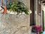 Immagine 10