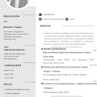 Junior Business Intelligence Analyst