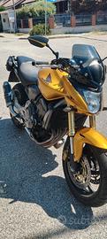 Honda Hornet