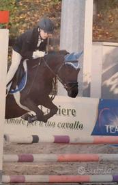Pony sportiva