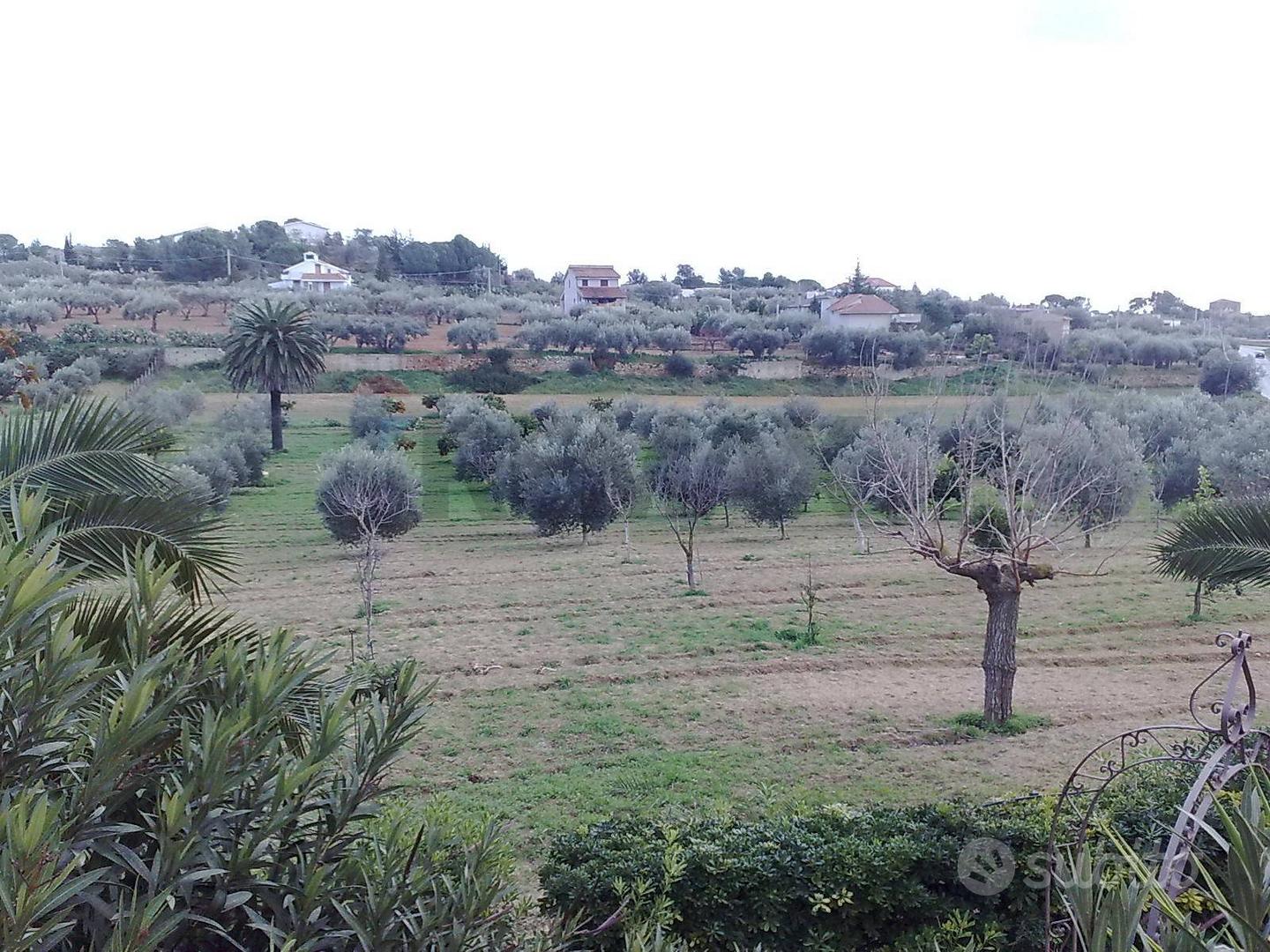 Terreno Edificabile - Niscemi - Vista 4