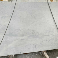 Piastrelle marmo bianco Carrara Lucide o Levigate