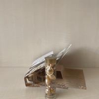 Elizabeth Arden advanced ceramide capsules