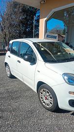 panda 1.2 lounge 