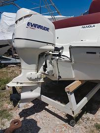 evinrude 135 cv