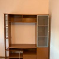 Mobile per salotto e televisione