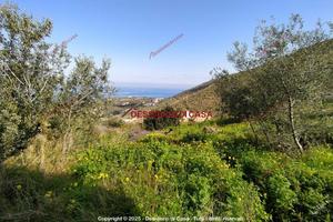 Terreno, Cefalù.