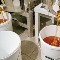 Miele in secchi – produzione 2025