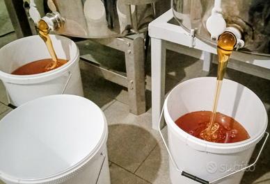 Miele in secchi – produzione 2025