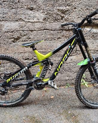 BICI DH NORCO AURUM 