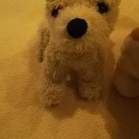 Cagnolino di peluche