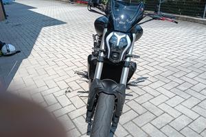 Benelli 502 C - 2020