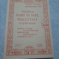 modi di dire dialettali in Romagna