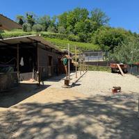 Terreno con maneggio