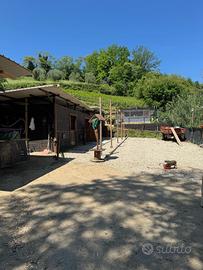 Terreno con maneggio